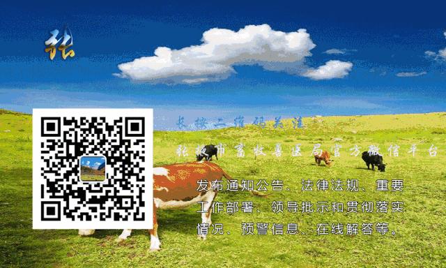 奶牛围产期保健,奶牛围产期如何解决