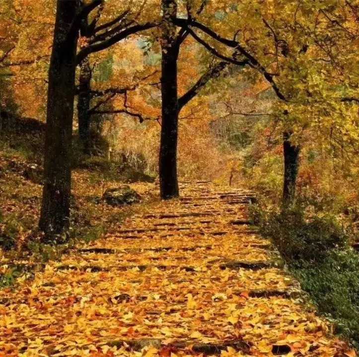 一个月让你免费走遍台州！这份9月台州旅行指南你一定需要收藏！