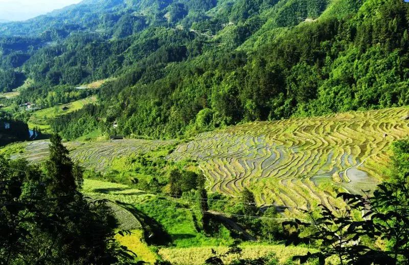 重庆本地人推荐去的地方夏天,重庆人少好玩的地方凉快推荐