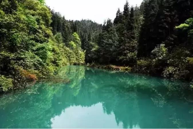 重庆本地人推荐去的地方夏天,重庆人少好玩的地方凉快推荐