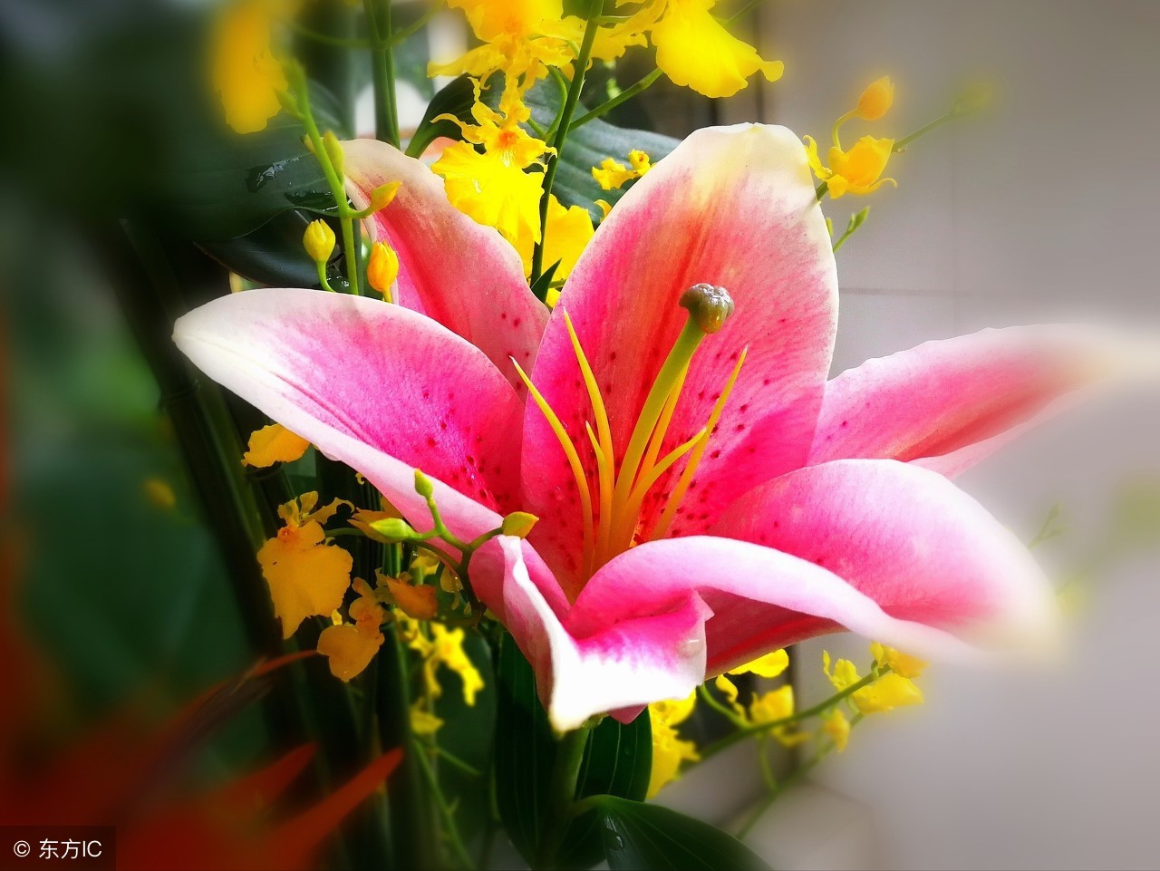 中年男人有外心人之后的表现,女人有了外心睡觉时有哪三种表现