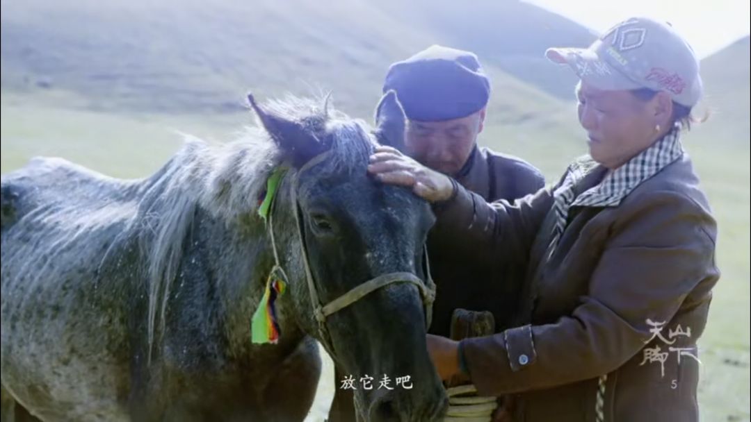 忘记那些不堪回首的人和事,忘记那些心酸的往事