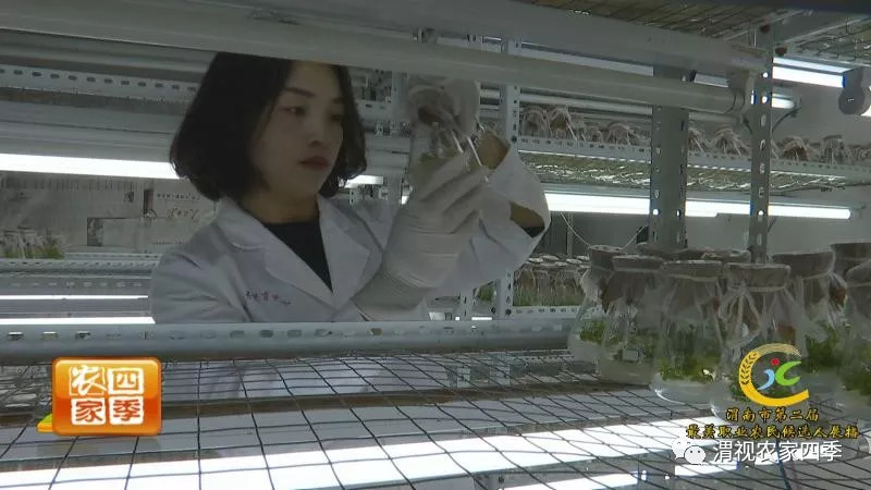 渭南市第二届最美职业农民候选人,渭南最美职业农民候选人