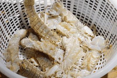 有一种炫富叫辽宁开海,在山东有一种炫富叫开海