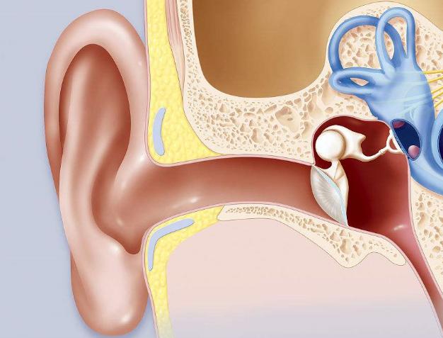 换耳塞耳套的技巧,换耳套有用吗