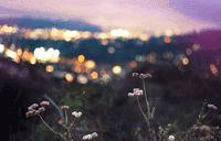 在深圳年薪30万能存多少,在深圳5000元月薪能存到钱吗