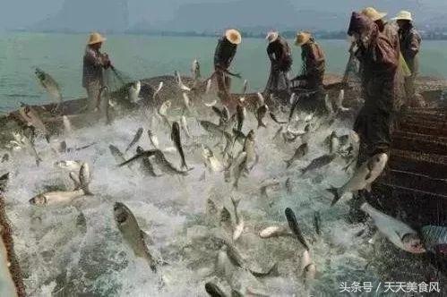 怎样选择海鲜的正确方法,海鲜如何清洗比较干净又好吃