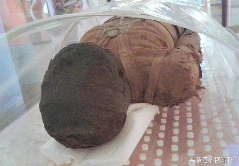 巴西国家博物馆火灾原因有哪些,巴西博物馆遭大火镇馆之宝