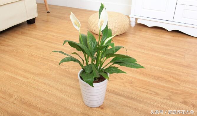 对抗秋冬干燥学会这4招,对抗秋燥