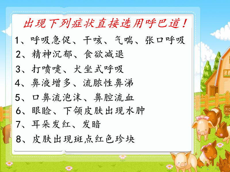 野生鸽子可以人工养吗,人工饲养鸽子该怎样灌喂