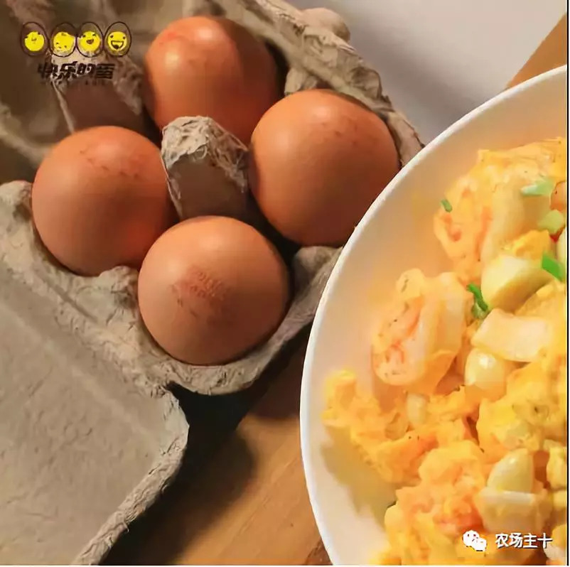 明星为明星打call视频,明星疯狂打call