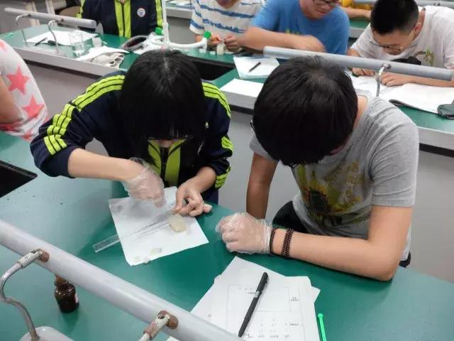 福州八中是封闭式学校吗,福州高中寄宿管理