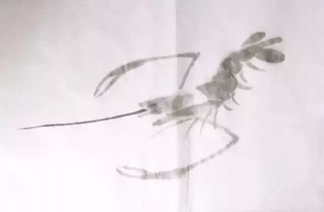 简单方法画虾,怎样画虾教学视频