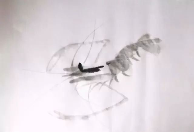 简单的画虾教程儿童,最简单的画虾的方法