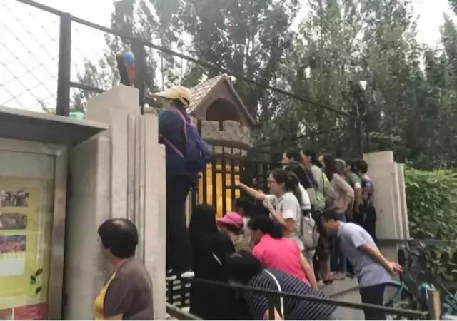 如何帮助幼儿消除分离焦虑,家长讲座分离焦虑