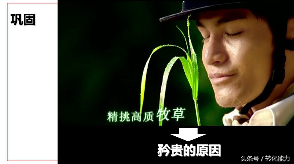 蒙牛特仑苏广告营销策略,蒙牛特仑苏广告策划方案