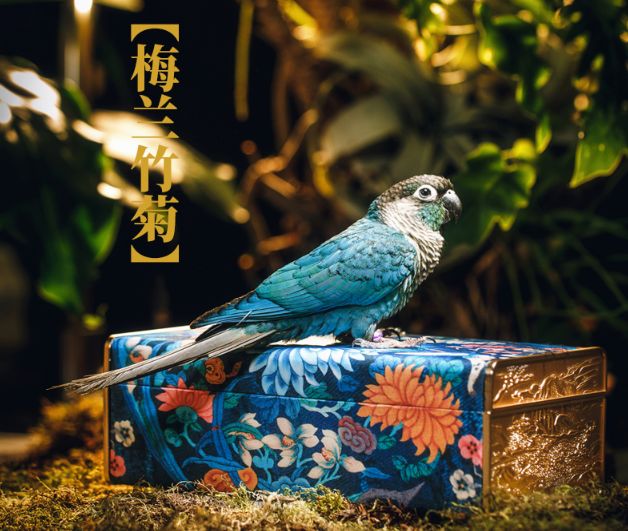 真正的五仁月饼有多好吃,这才是正宗的五仁月饼