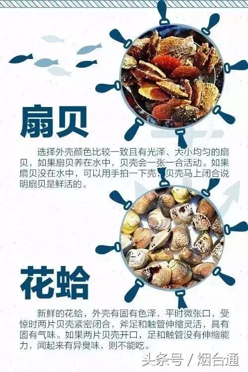 烟台开海现场直播视频,开海现场视频直播