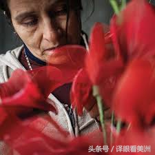 墨西哥43名学生遇害后续,墨西哥45名学生遇害一事