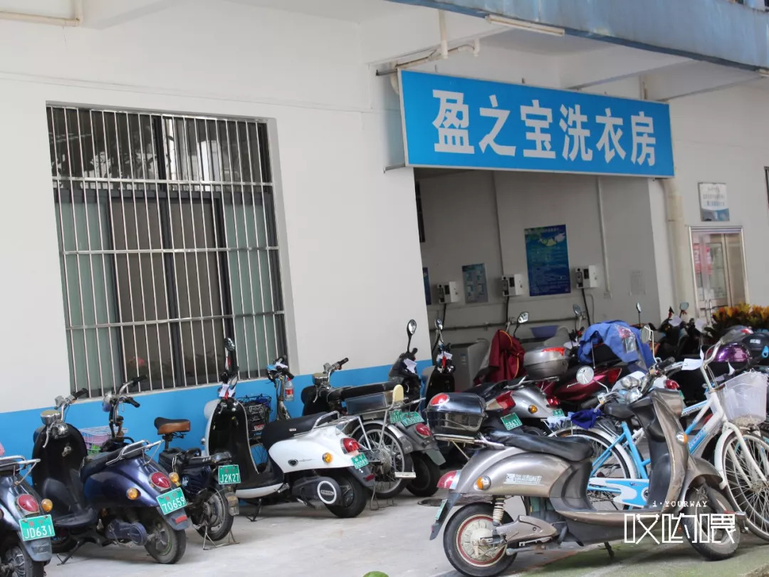 鍗楀畞闈掔骞胯タ鑹烘湳瀛﹂櫌,骞胯タ鑹烘湳瀛﹂櫌闈掔