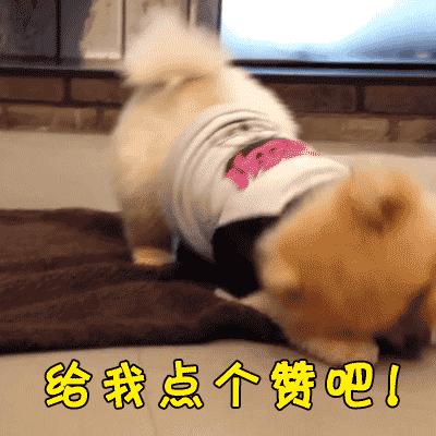 什么地方可以坐高铁去泰国,从中国坐高铁去泰国