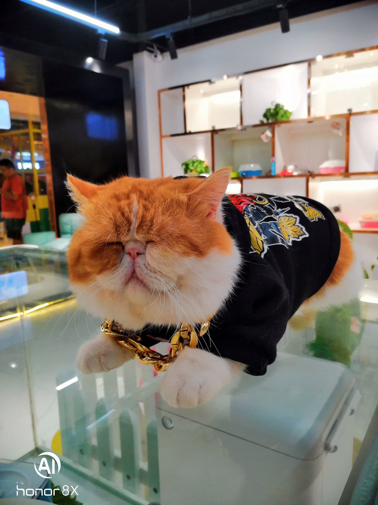 荣耀8x上手评测千元霸屏名不虚传,荣耀八魅海蓝