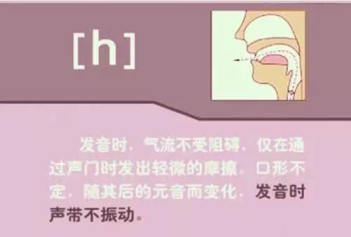 英语48个音标发音教学书籍,英语26个音标发音学习附详细图解