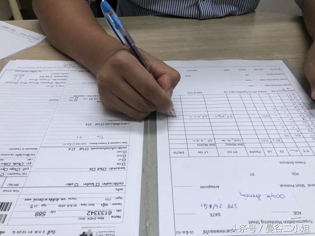 泰国冷冻卵子,泰国冻卵子