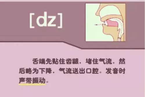 英语音标48个发音有趣教学视频,英语音标48个发音快速记忆