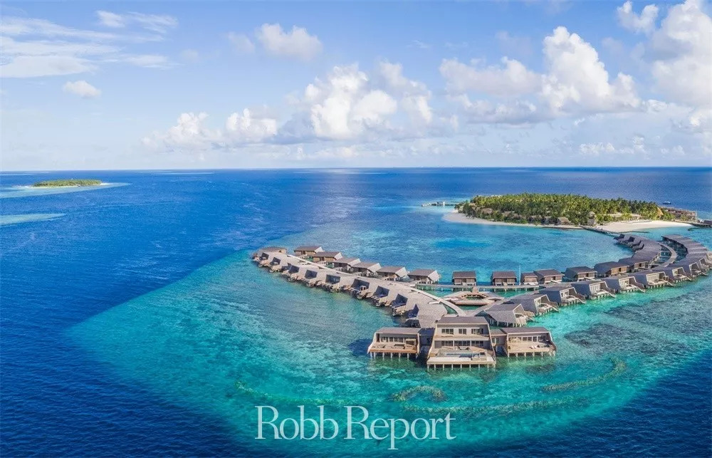 带你看世界的酒店,东方甄选看世界酒店