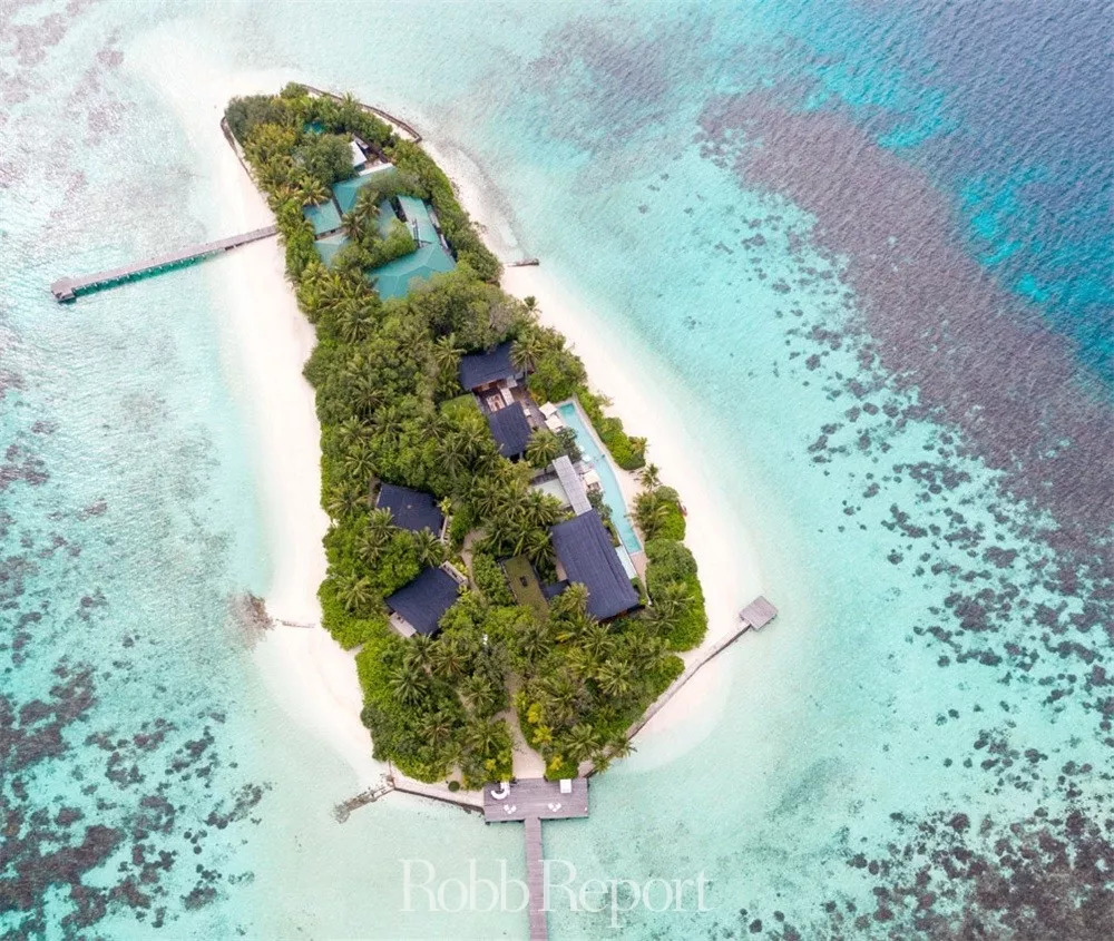 带你看世界的酒店,东方甄选看世界酒店