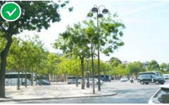 「交通看点」建设“完整林荫道”——步行和自行车交通环境设计建设图集亮点介绍（一）