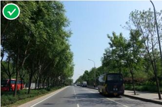 「交通看点」建设“完整林荫道”——步行和自行车交通环境设计建设图集亮点介绍（一）