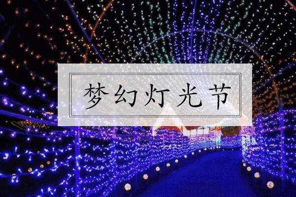 梦幻灯光节民权,建业灯光节