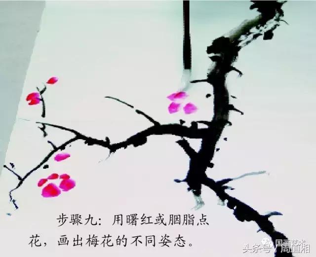 梅花花朵的国画画法视频,大写意梅花枝干国画画法