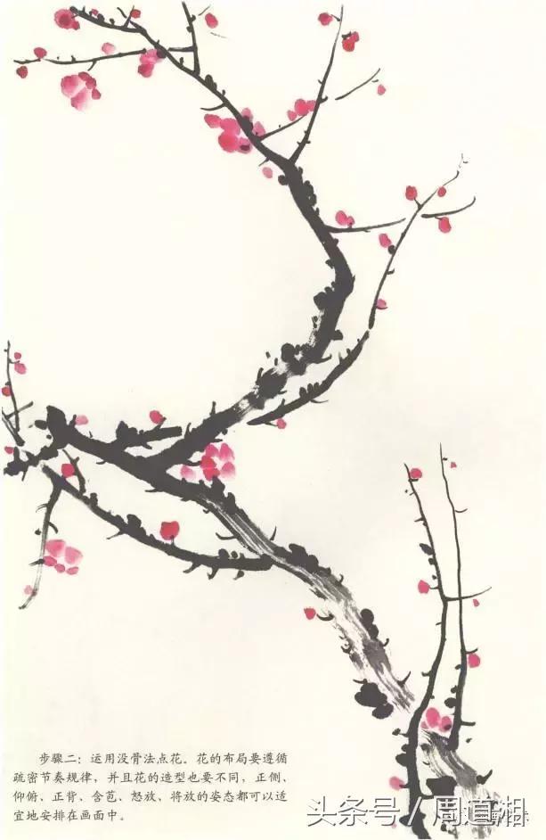 梅花花朵的国画画法视频,大写意梅花枝干国画画法