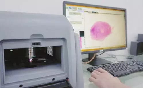 中国司法公正程度,司法公正的重要性