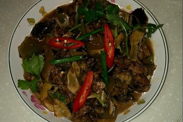 冬天甲鱼怎么样放才不死,这个季节甲鱼适合怎么吃