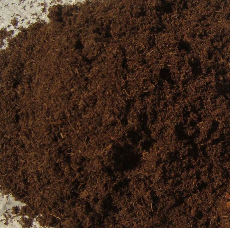 老桩群生多肉买什么颗粒土,多肉怎么养出粗壮的老桩呢