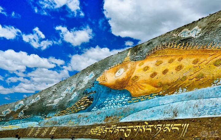 青海湖湟鱼水下视频,青海湖湟鱼洄游路线