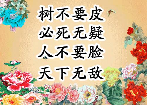 会动的照片大全,会动的11张图片