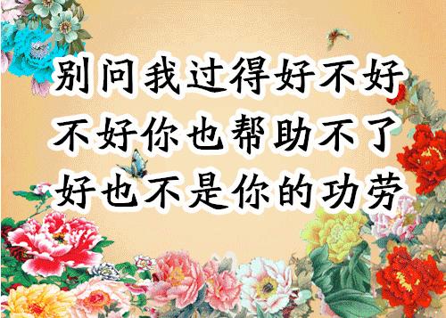 会动的照片大全,会动的11张图片