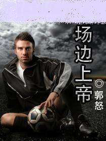 智计无双的小说,智计无双