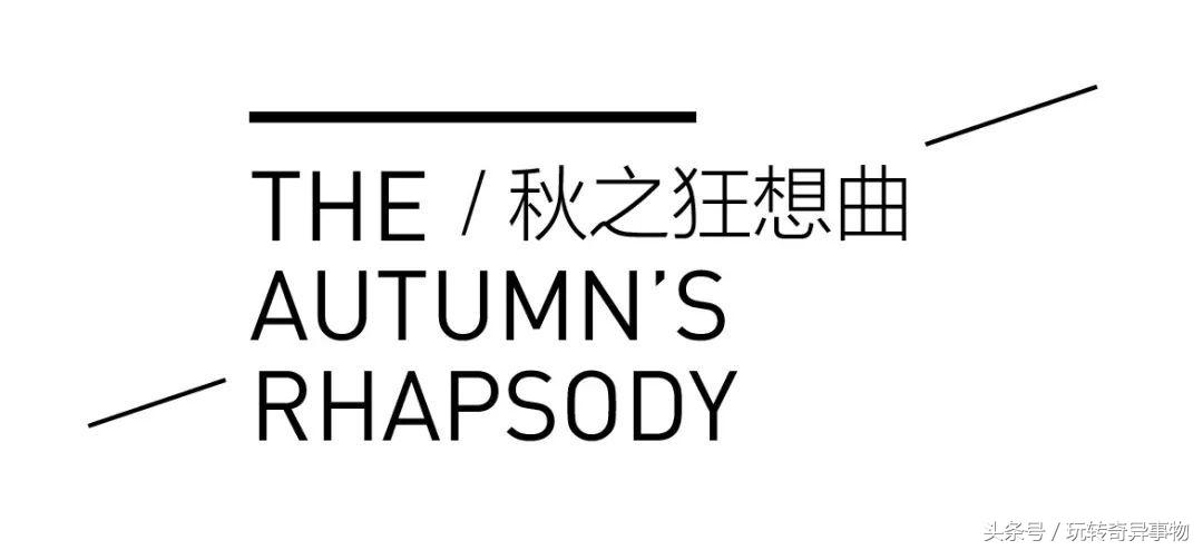 依思q黑色包,依思q2022夏季新款