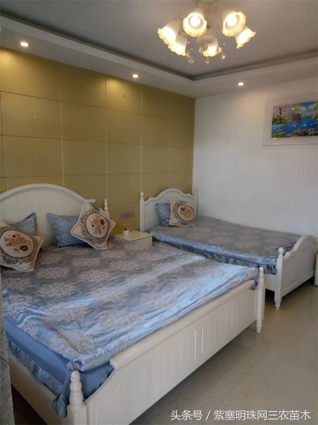 黄山旅游攻略黟县民宿景点,黄山宏村千岛湖西塘旅游攻略