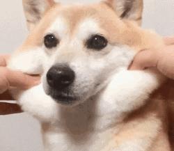 韩国面膜真的很难选,韩国面膜好用和不好用的