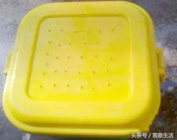 钓鱼用不完的红虫怎样养,红虫钓鱼需要注意什么