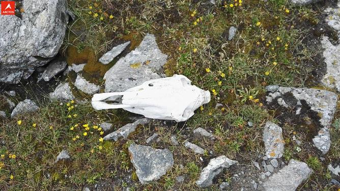 一次偶然，铸就永恒，十年驴龄的他“长存”于此-乌孙驴行记