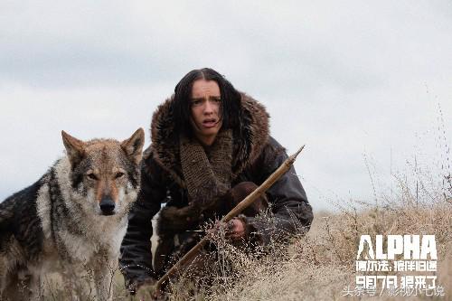 必属烂片的5部电影,2020元旦上映的烂片电影