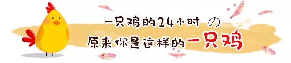朝鲜族老板的坚持！天津阳光100这家店可以尝到韩国古方炸全鸡！